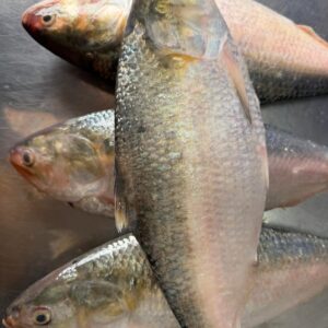 ৪ পিছে মাছে ৮ কেজি ৫০০০ টাকা।