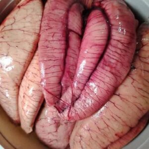 ৩ কেজি ইলিশ মাছের ডিম ২৪০০ টাকা